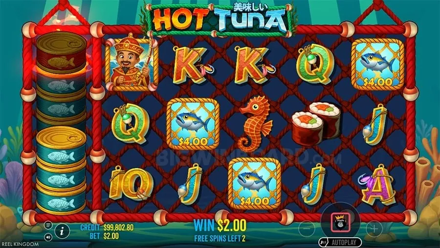 Wide Range of Online Casino Games